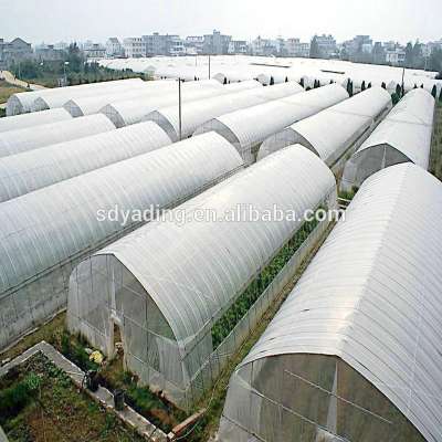 Commercial agricultural greenhouse for sale