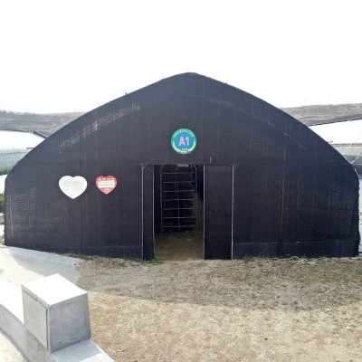 Mushroom Equipment Greenhouse For Vegetable Agriculture